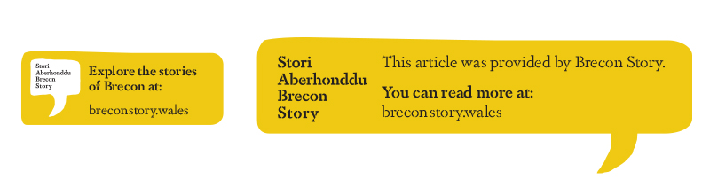 brecon story logo