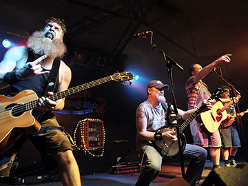 hayseed dixie